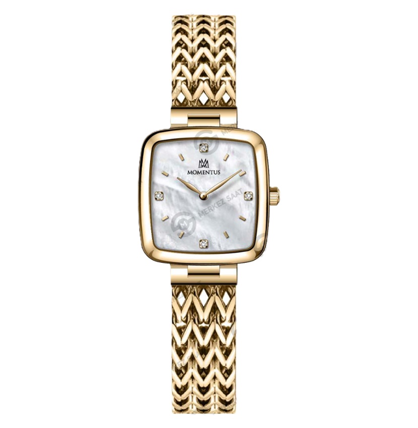 MOMENTUS SS397G-09SG