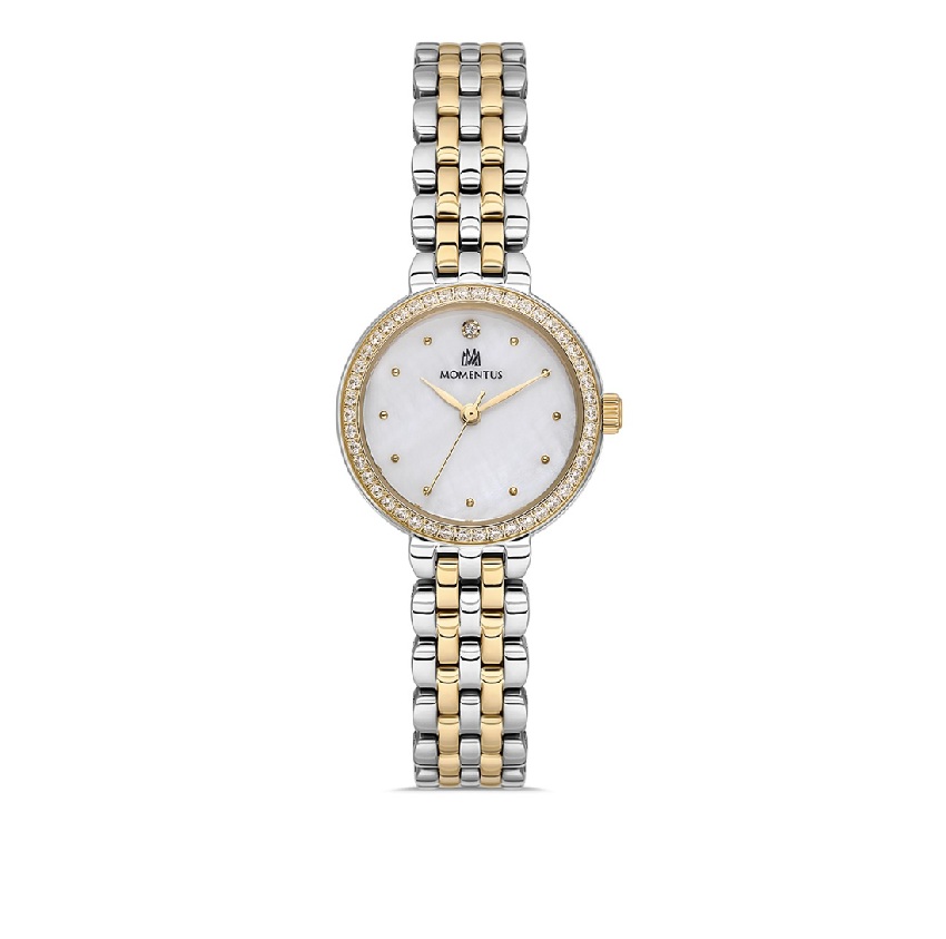 MOMENTUS SW298T-09SG