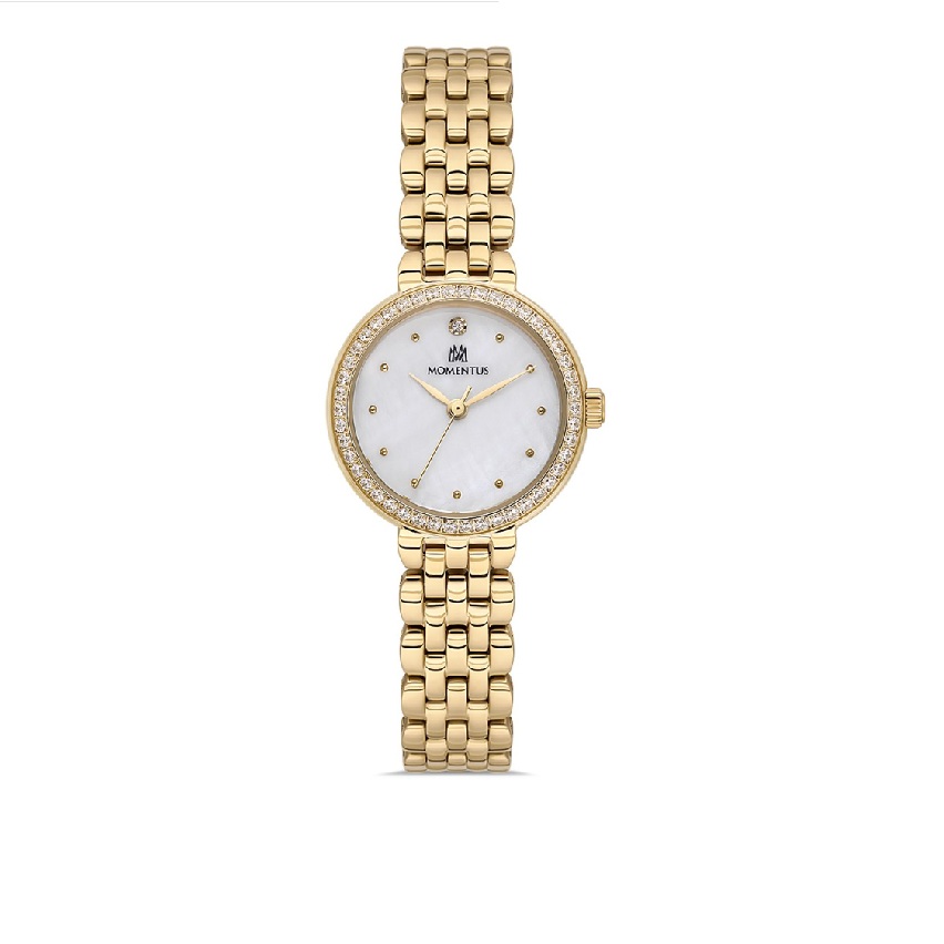 MOMENTUS SW298G-09SG