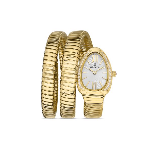 MOMENTUS SS256G-02SG